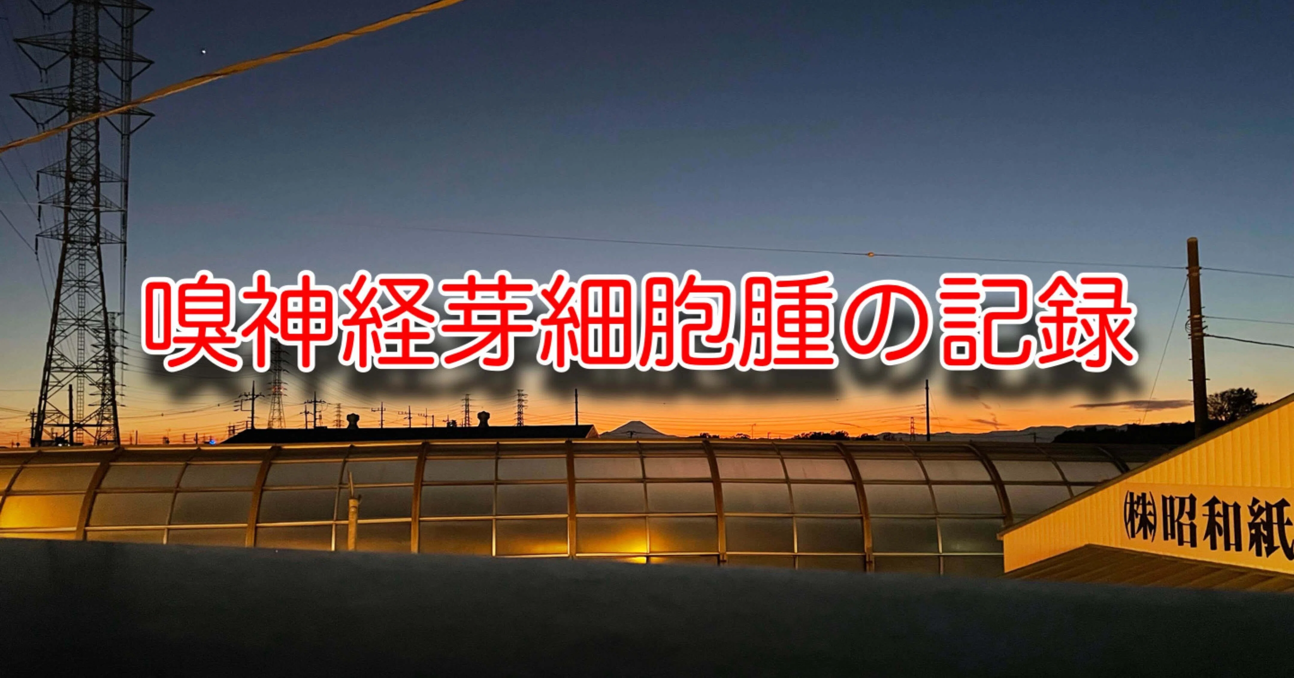 嗅神経芽細胞腫の記録｜オオタ サトル｜note