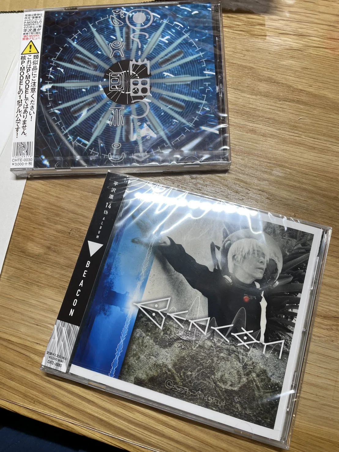 1984年」から平沢進を知った人間｜かしこ