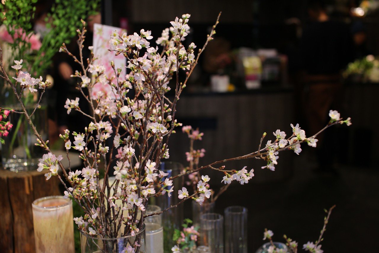 こんな時だからこそ いつもと一味違う おうちでお花見 のススメ Parkers Official Note Note こんな時だからこそ いつもと一味違う おうちでお花見 のススメ Parkers Official Note Note