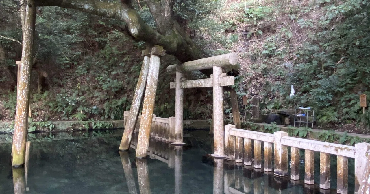 東国三社を巡る①｜鹿島神宮にて鹿島立ち！旅立ちと始まりの聖地から
