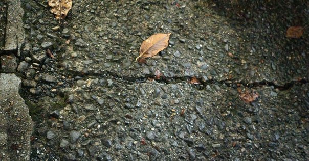 批評の座標 第5回】「外」へと向かい自壊する不可能な運動
