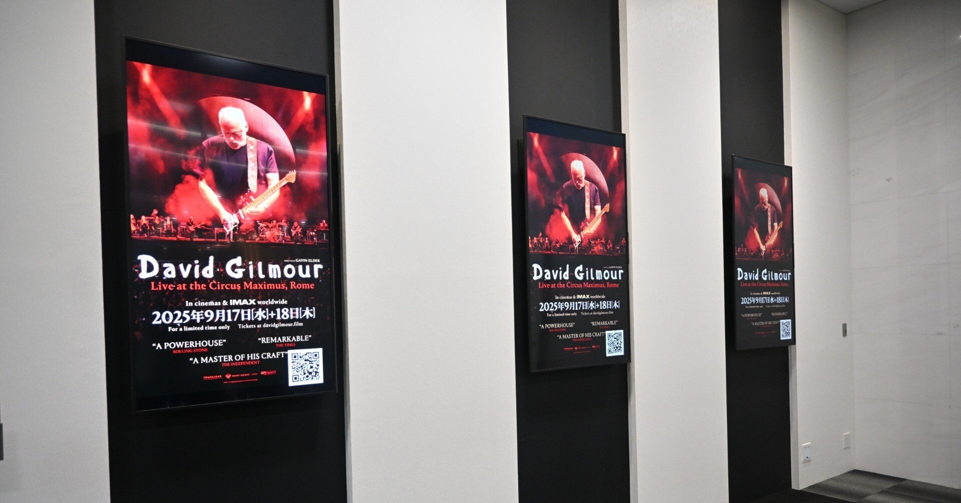 デヴィッド・ギルモアLIVE｜桑原亘之介