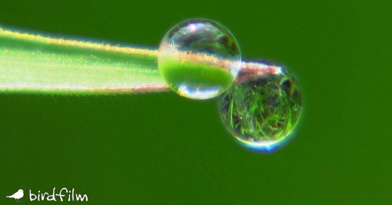 続・noterのみなさまへ 「悪質な嫌がらせコメント」とマスコミ取材対応