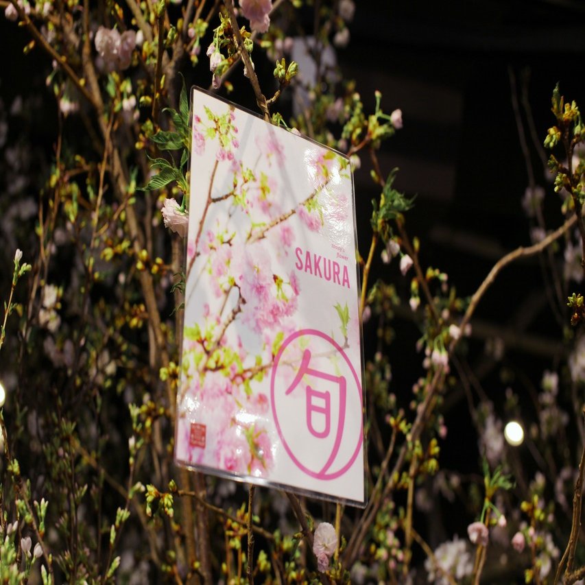 こんな時だからこそ いつもと一味違う おうちでお花見 のススメ Parkers Official Note Note