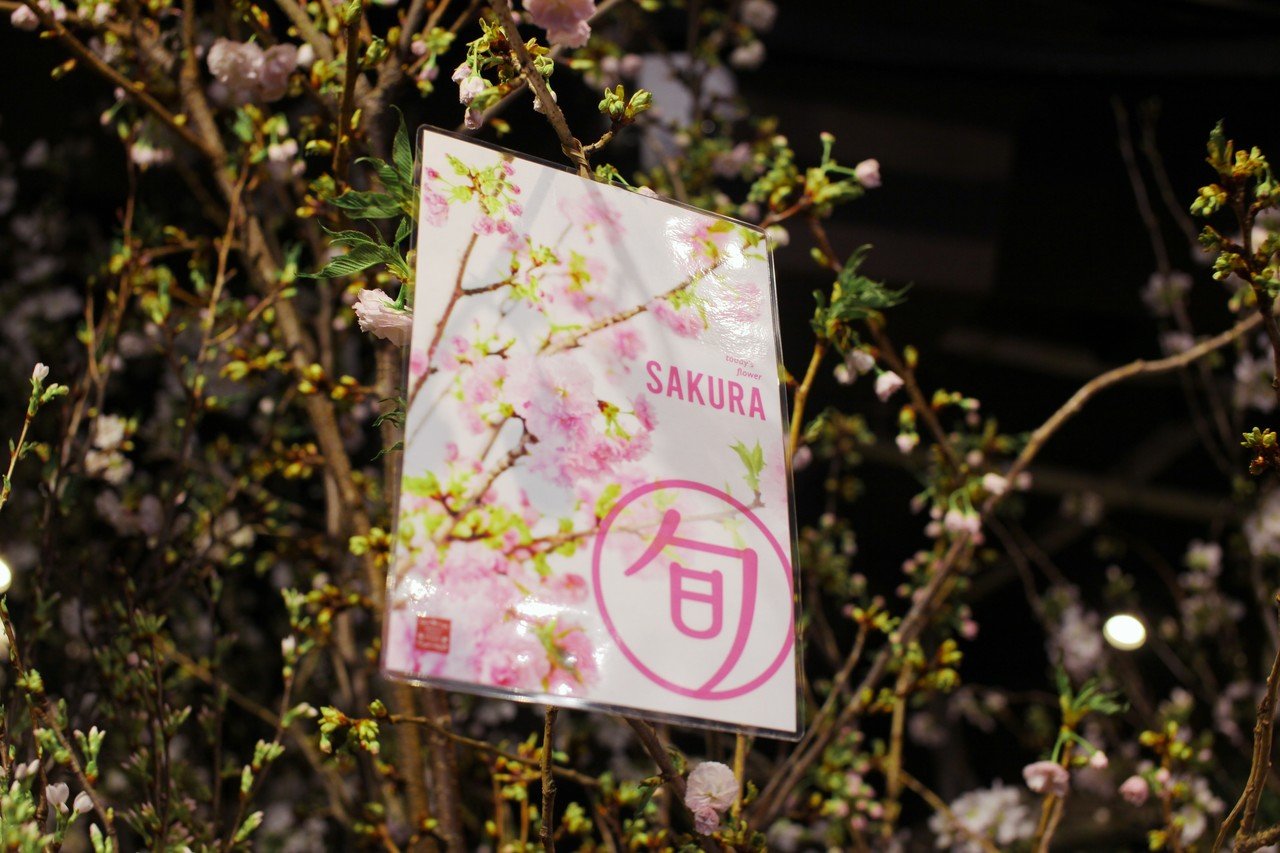 こんな時だからこそ いつもと一味違う おうちでお花見 のススメ Parkers Official Note Note こんな時だからこそ いつもと一味違う おうちでお花見 のススメ Parkers Official Note Note