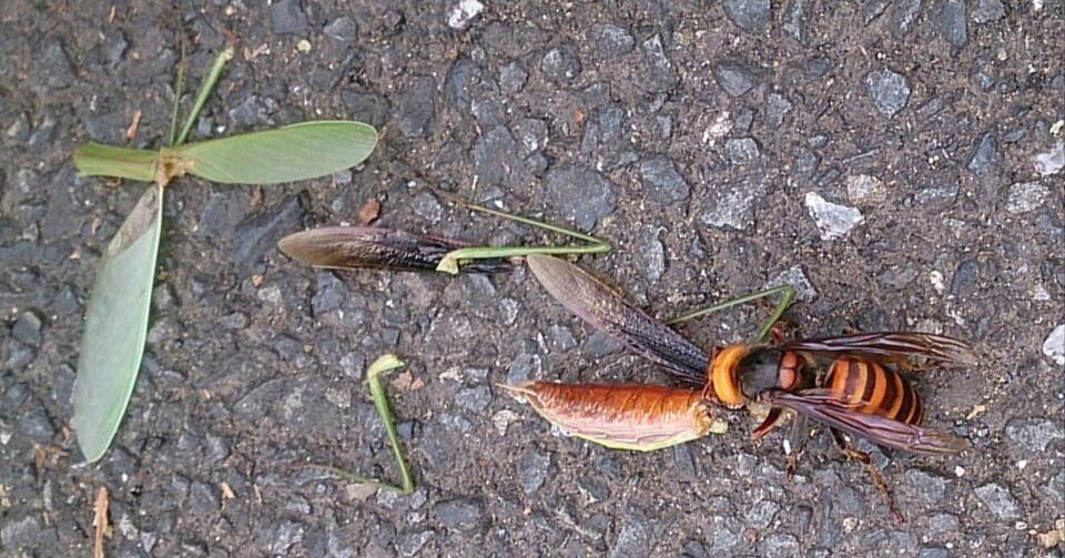 07fc302a8e5ac40f76bd4c63557c48