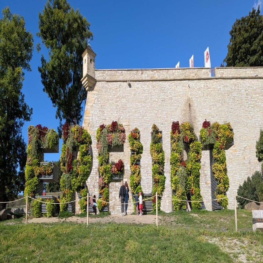 ドイツから その53 ドイツを歩け歩け その⑧エアフルト（Erfurt）の