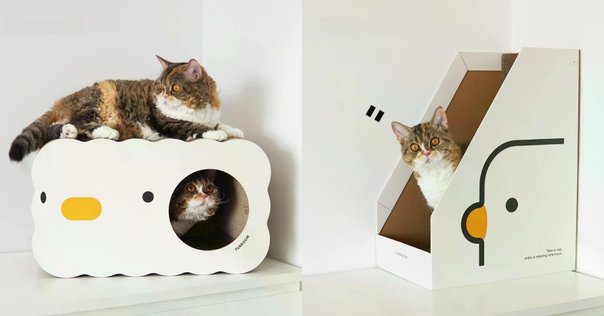 インテリアとしてもインパクト抜群！三日月型のかわいすぎる猫