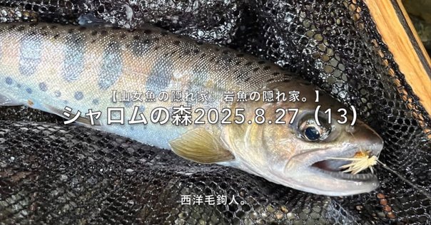 管釣り備忘録 テンリュウ レイズオルタ RZA62UL-S インプレ｜お