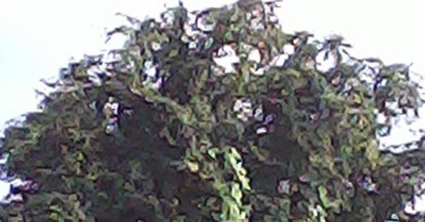 フィルムカメラ】BABYLON.4 四つ目の個性派トイカメラ｜Shinozaki K.