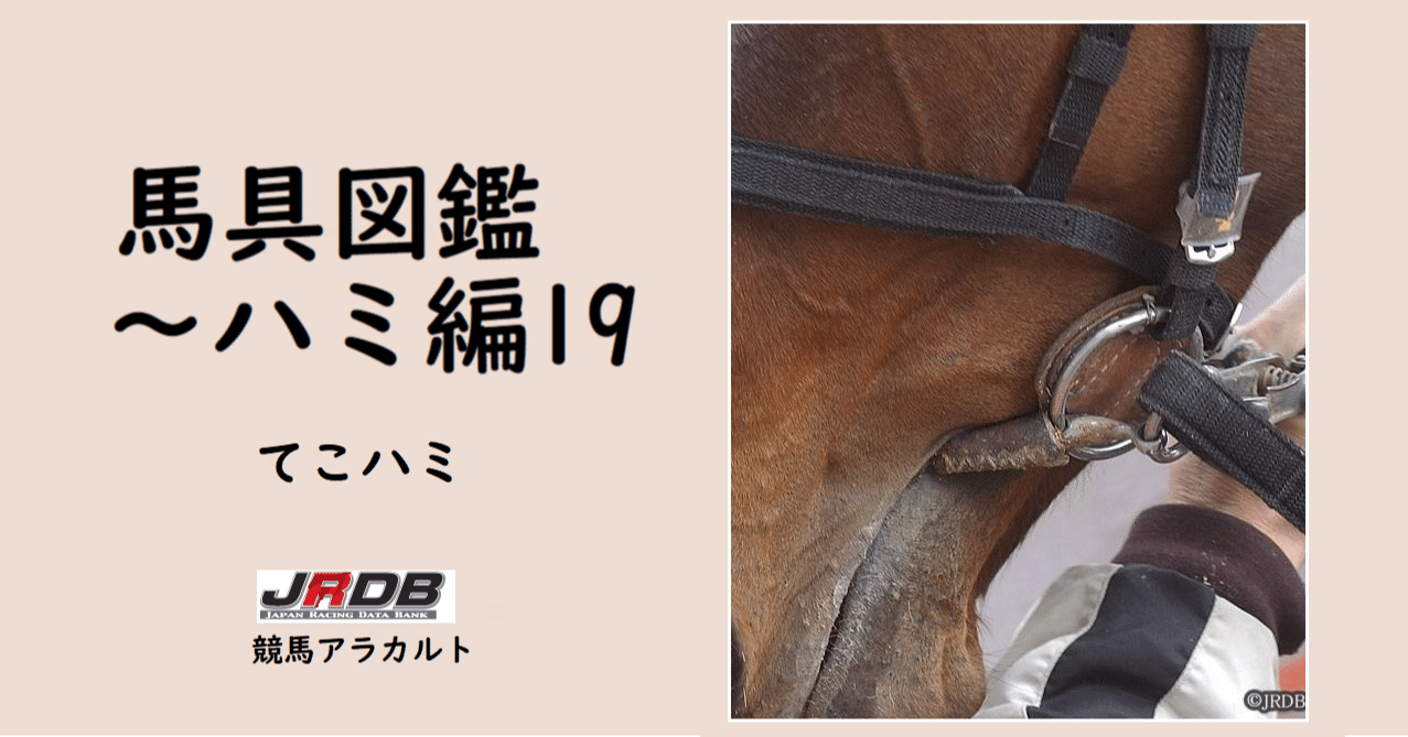 乗馬用品 ハッピーマウス Happy Mouth Bit 大勒バミ