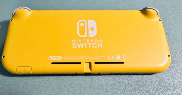 Switch LiteとSwitchを2台持ちする場合に気をつけた方がいいこと