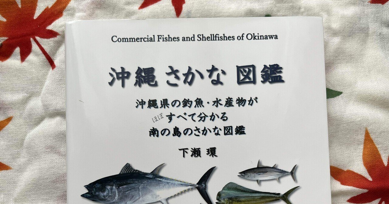 07 What'アカジンミーバイ？高級魚？｜モグモグさーや