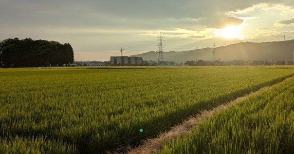 bB様　25キロを精米 bB様専用 25キロを精米