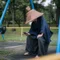 ヒロキ｜裏人生論・組織論