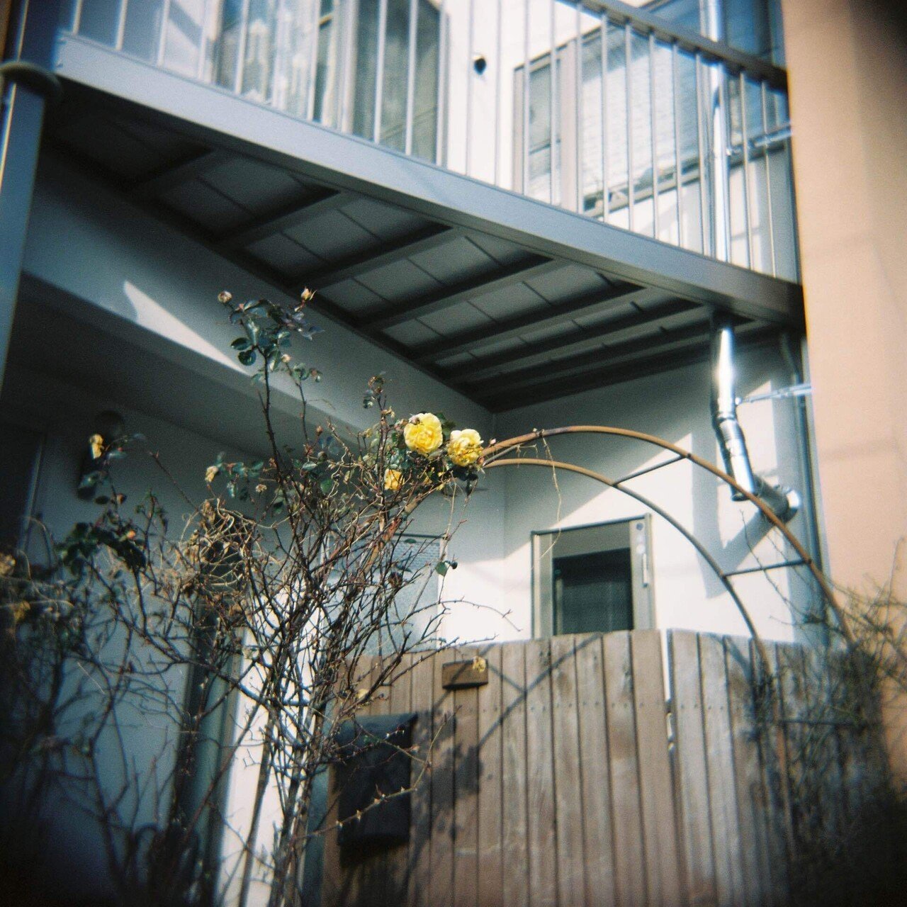 昔、HOLGAを試し撮りした｜久遠柩