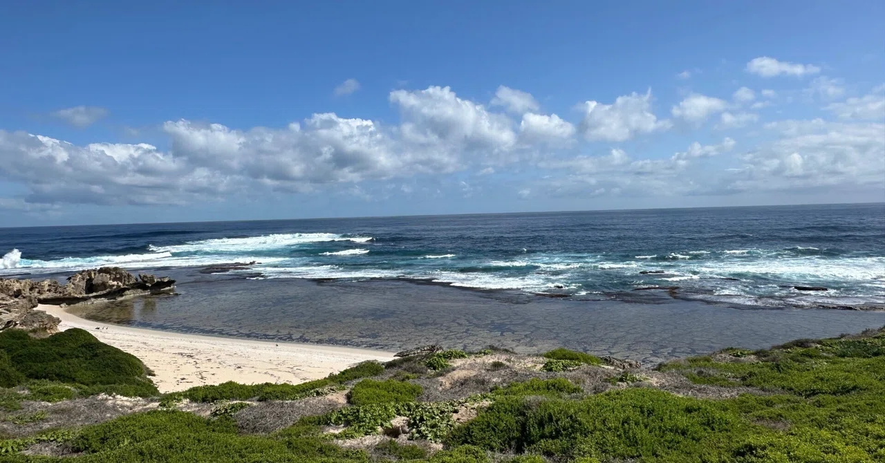Sydney Marathon and Perth🇦🇺⑦シドニー4日目 ロットネスト島は最高