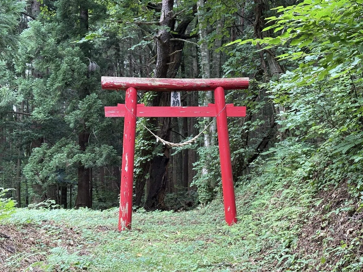 画像