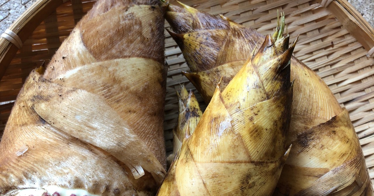 たけのこを無駄なく美味しく食べ尽くす たけのこ大量消費大作戦 古谷 真知子 Note