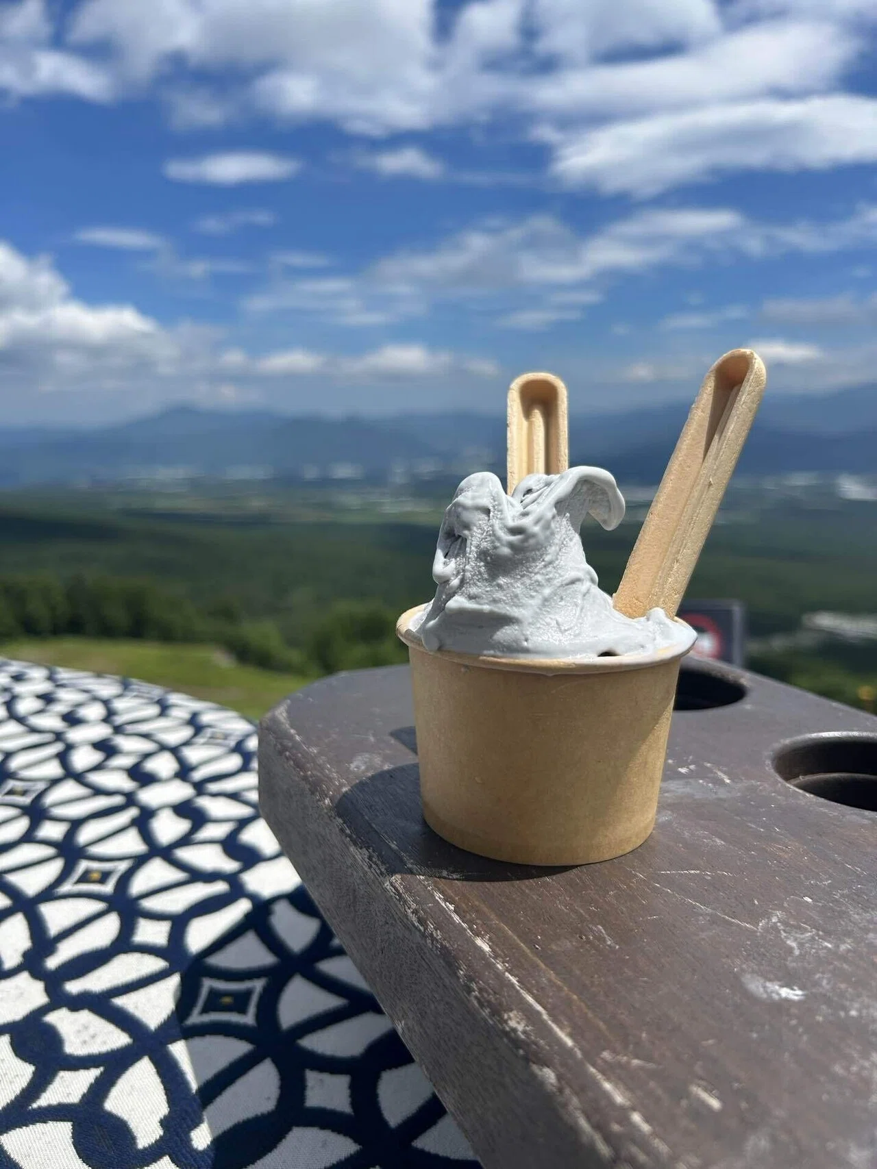 夏の旅行記③ 山梨・清里テラスと爽快Gカート体験｜haru