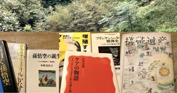 漫画家・諸星大二郎を特集したMOOK『西遊妖猿伝の世界』(1986年