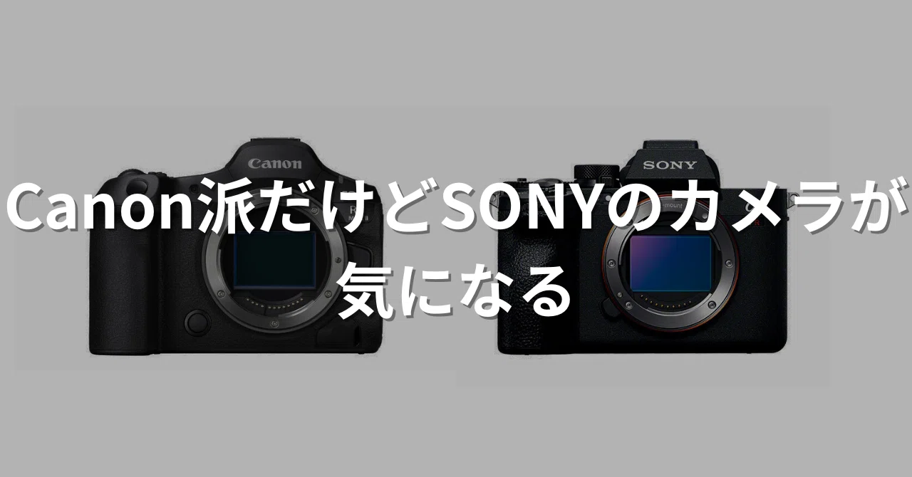 Canon派だけどSONYのカメラが気になる。｜飲むヨーグルト