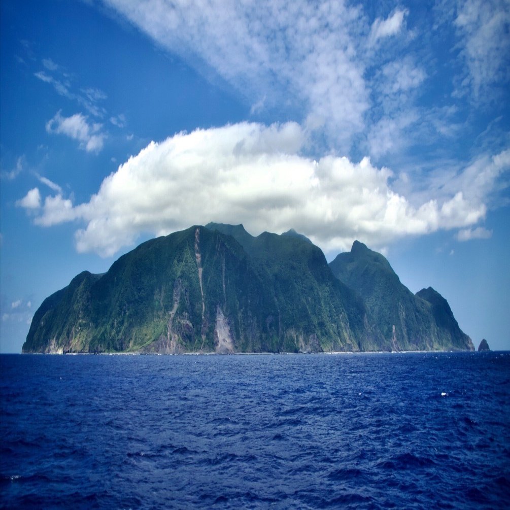 イルカの夏 1351 ⑦17[8cmCDシングル イルカの夏/木村佳乃]超お宝特典付き