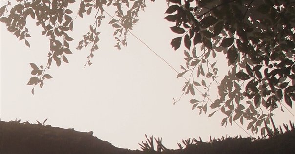 ニーチェと悪循環 ピエールクロソウスキー ニーチェと悪循環 | ピエール クロソウスキー, 正勝, 兼子 |本