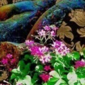 のんしゃらん・比々き