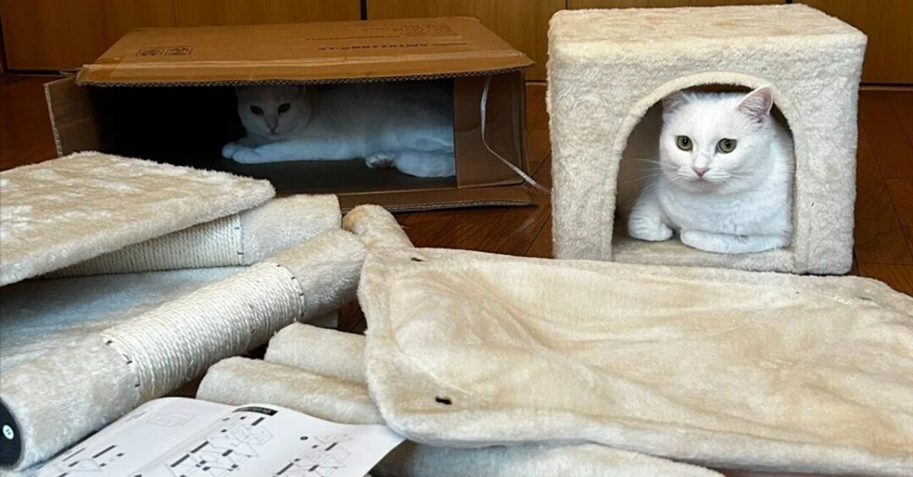 もう完成でいいよね?」キャットタワーの組み立て現場で起こった猫ある もう完成でいいよね?」キャットタワーの組み立て現場で起こった猫ある
