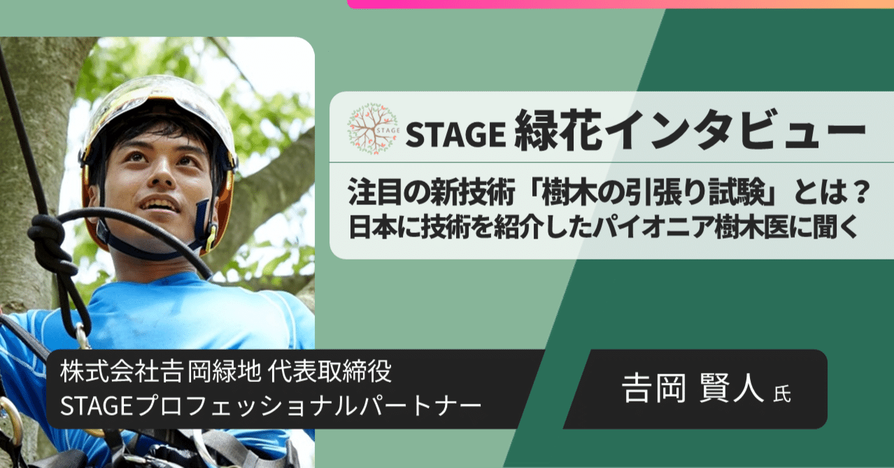 TRAQマニュアル(ステッカー付き) ツリー リスクアセスメント (樹木診断) 樹木のリスクアセスメントマニュアル 第2版 | TREE CLIMBING WORLD