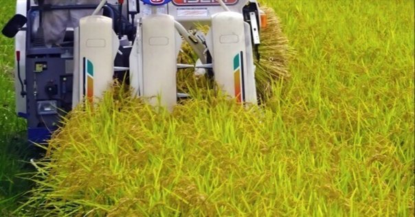 共立 パワーカルチ 水田除草機 耕運機 ≪ジャンク品≫ 共立 中耕除草機