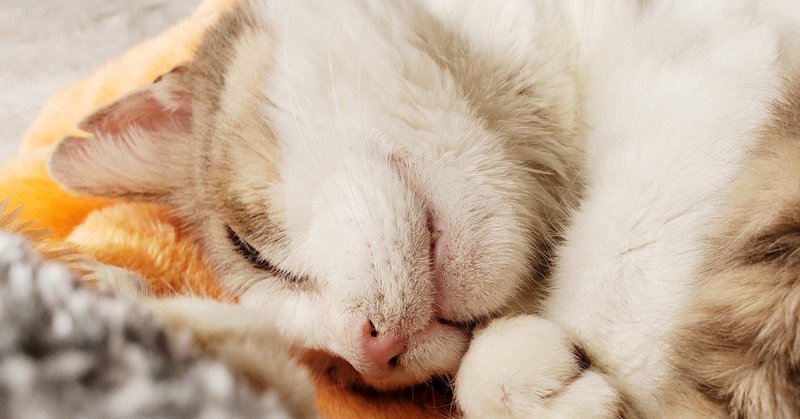 高圧的な言動や態度な人とは即座に距離をとった方がいい よぴ Yop Webで生きている人 Note