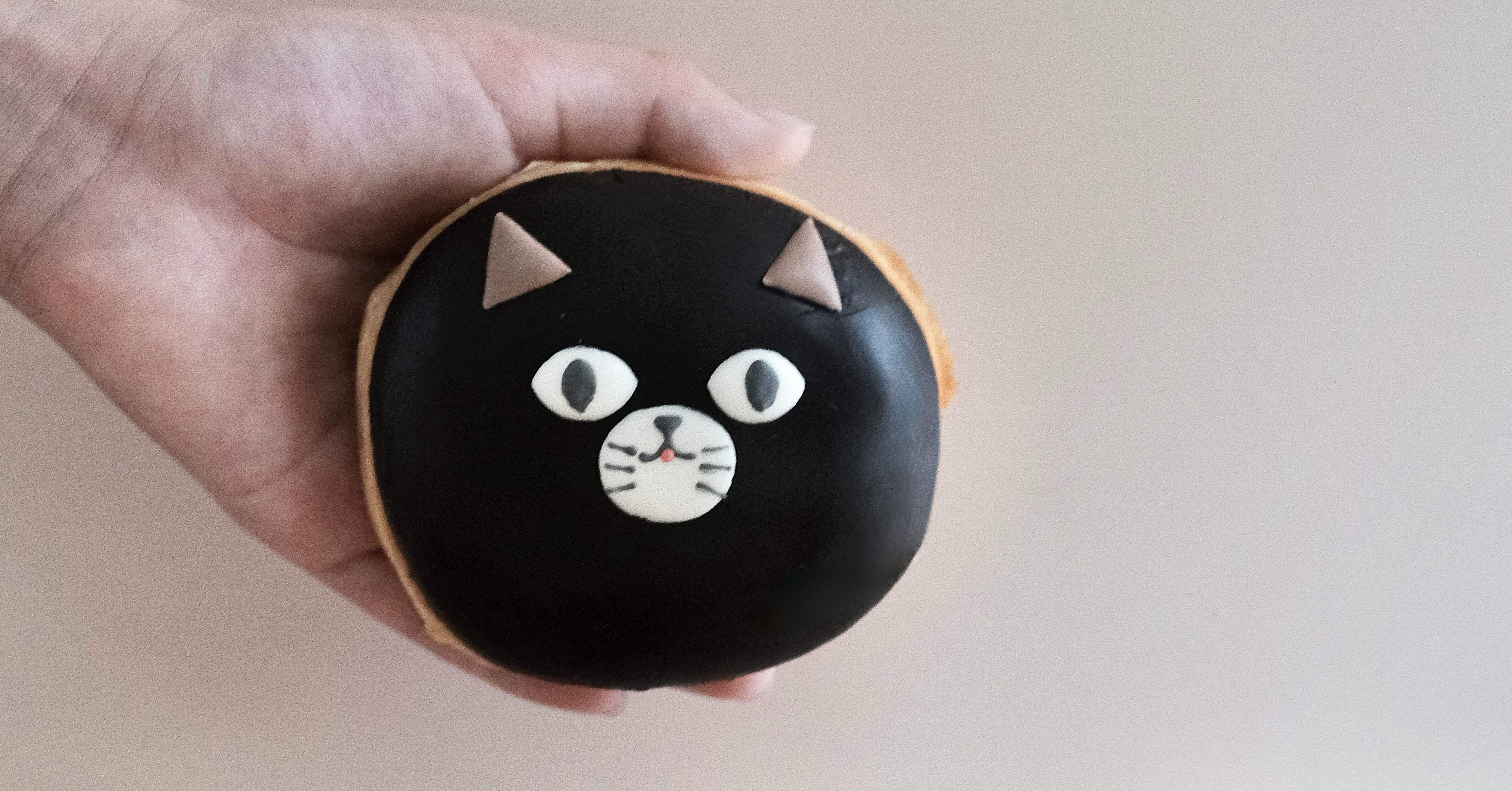 インスタ投稿の裏側｜黒猫ドーナツ編｜ごまちゃん飼い主