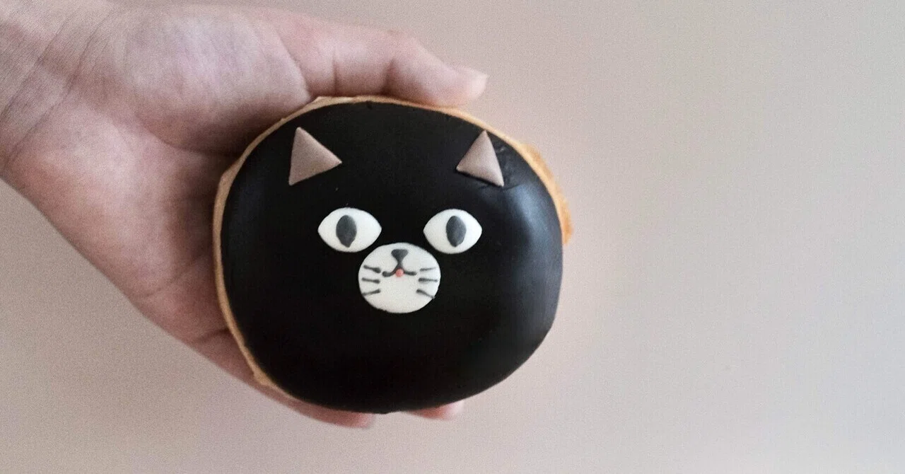 インスタ投稿の裏側｜黒猫ドーナツ編｜ごまちゃん飼い主