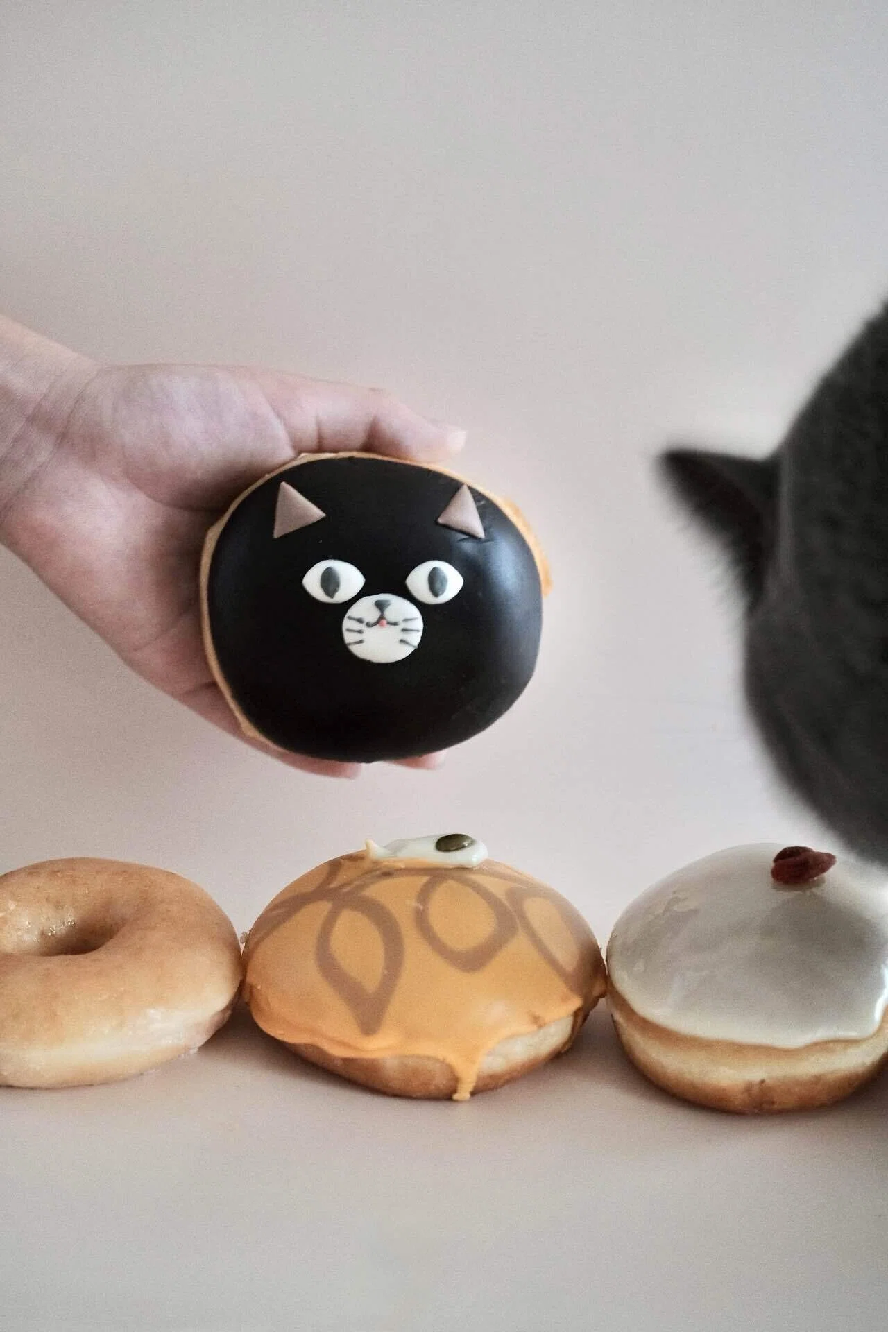 インスタ投稿の裏側｜黒猫ドーナツ編｜ごまちゃん飼い主