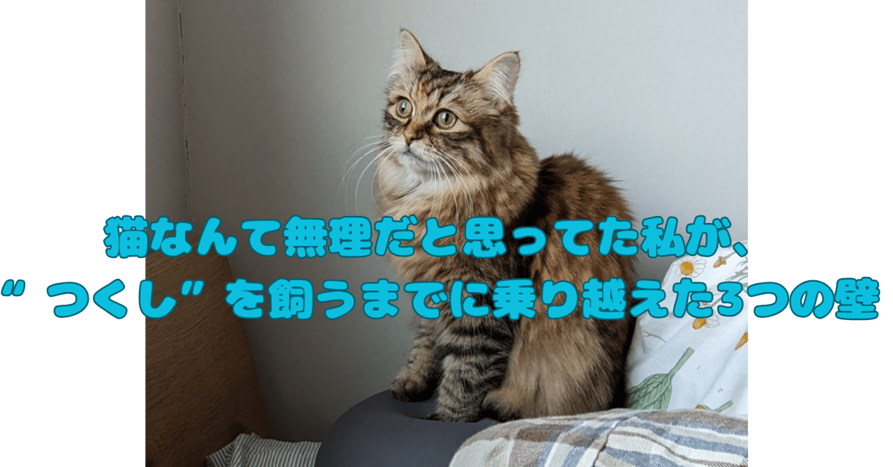 猫なんて無理だと思ってた私が、“つくし”を飼うまでに乗り越えた3つの壁｜春雨 りっか｜ぎろぎろnote, image size:1280x670