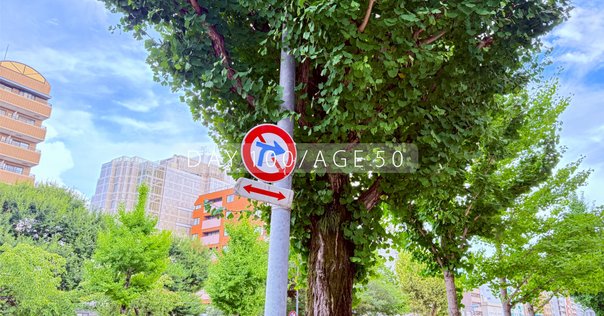 1999年11月19日｜イッパイアッテナ