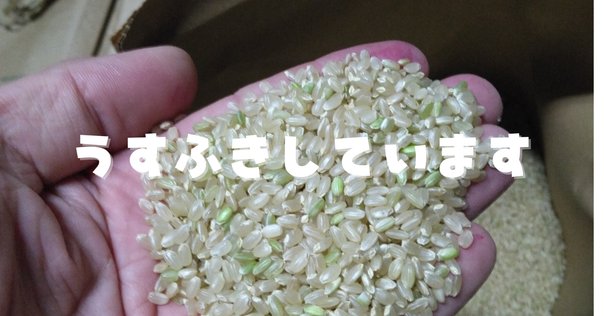 ANJI　25キロを精米 ANJI様専用 25キロ精米
