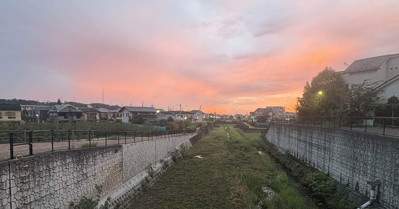 朝焼けと空堀川のカワセミ観察