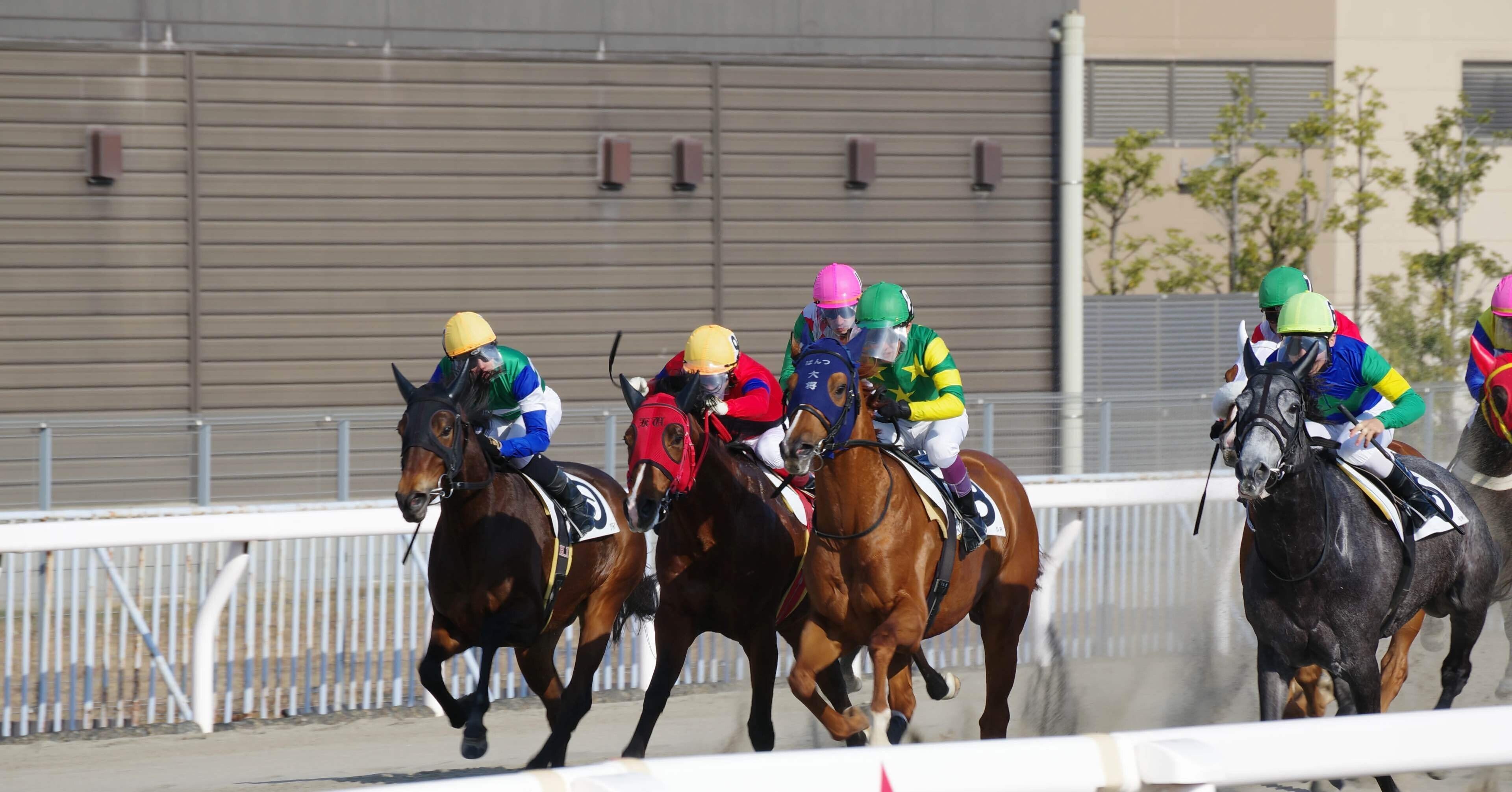 オルフェの単勝馬券勝負改：阪神9R編｜オルフェ