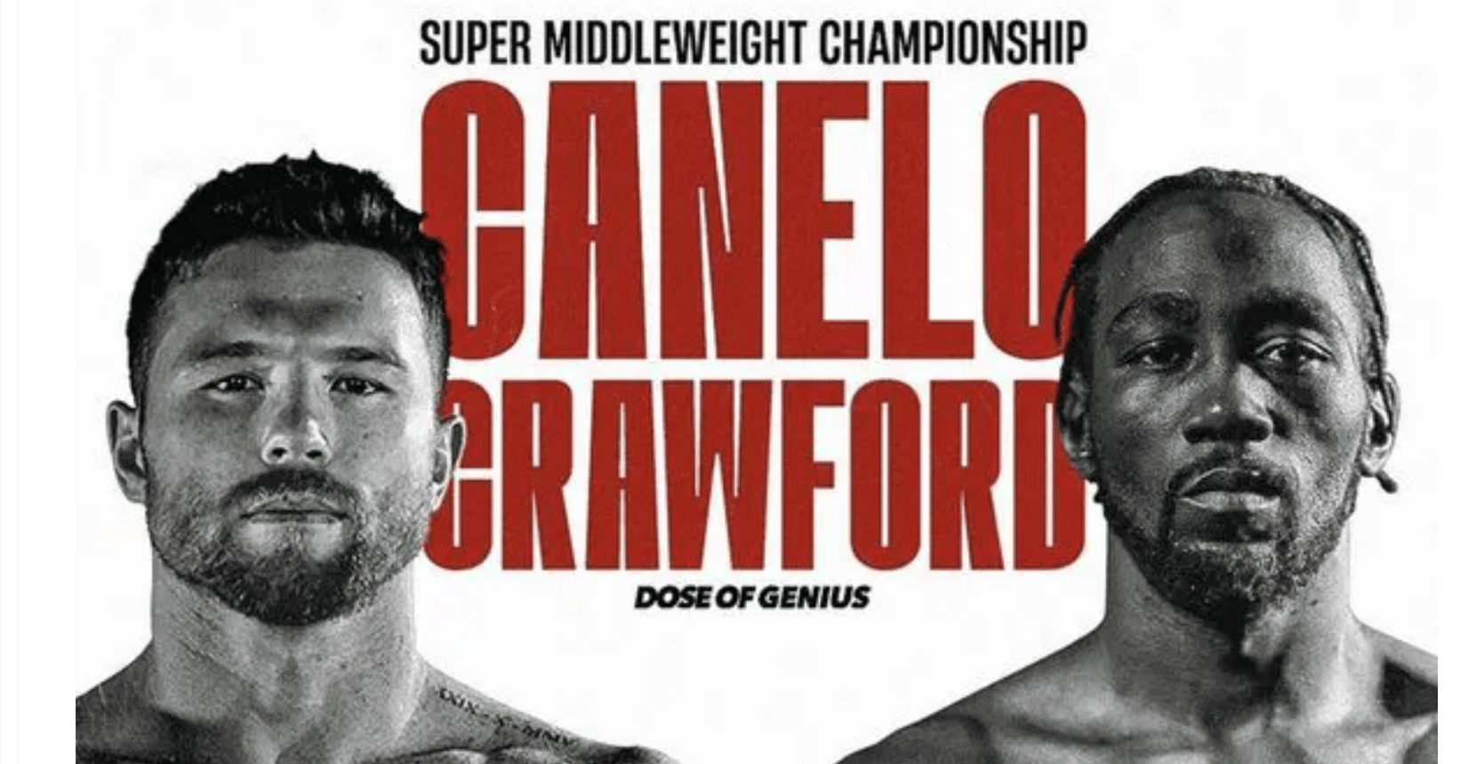 プロ格ヒーローズ 井上VSアフマダリエフカネロVSクロフォードセット