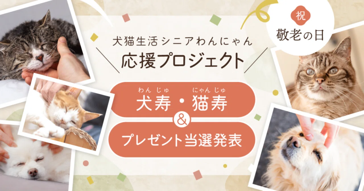 今日は敬老の日！犬猫生活＜犬寿・猫寿＞のプレゼント当選者発表！｜犬