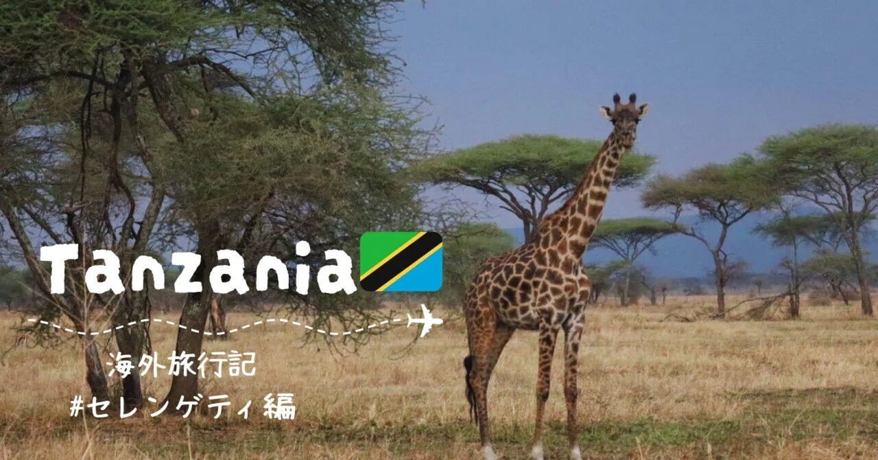 海外旅行】タンザニア〈サファリ編②〉🦁🇹🇿｜まる