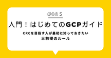 GAMP 5 FDA ANNEX 11 に対応した 【改定版】 「コンピュータバリデーション実施の手引き」 GAMP 5の網羅的解説：規制要件と実務ポイント｜Pharma Insight Lab