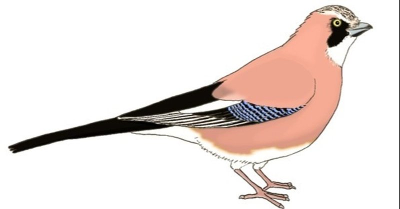 自然の中の野鳥 の新着タグ記事一覧 Note つくる つながる とどける