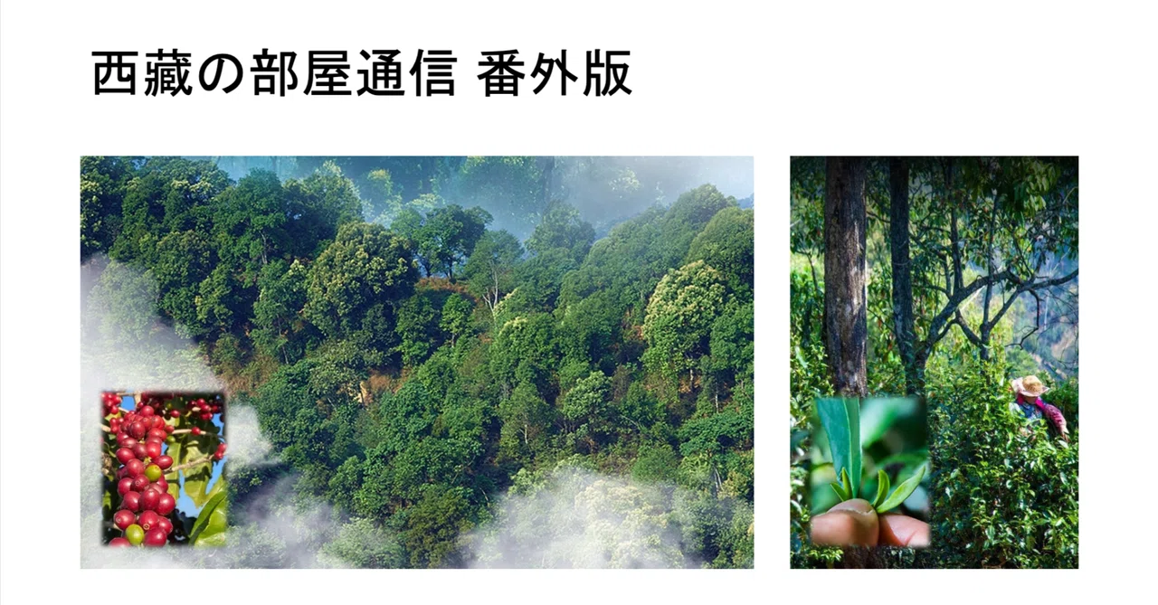 Tibet Room Newsletter: Extra Edition｜Max8148