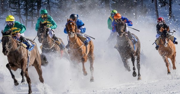 合馬公式 ◻︎papakeiba′25◻︎-重賞が勝負- 【第076号】【勝負】中山11R