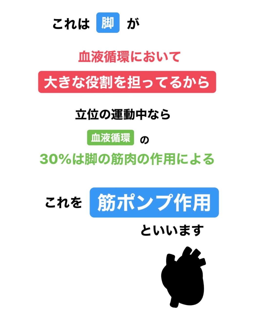 第二の心臓とは 伊藤 陵亮 Note 第二の心臓とは 伊藤 陵亮 Note