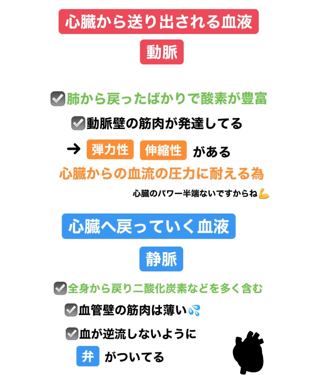 第二の心臓とは 伊藤 陵亮 Note 第二の心臓とは 伊藤 陵亮 Note